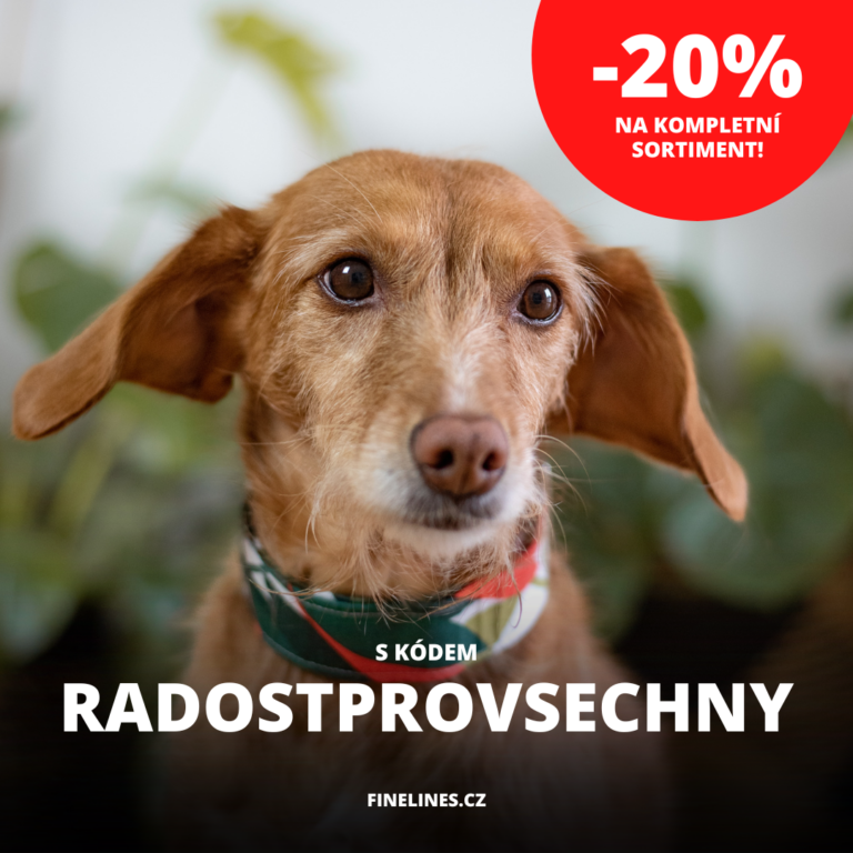 Radostprovsechny