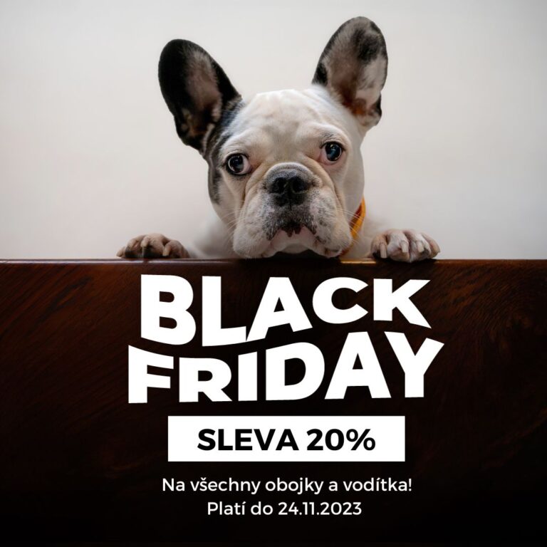 xr:d:DAF0D_BvmwE:19,j:8858989645948515034,t:23111413